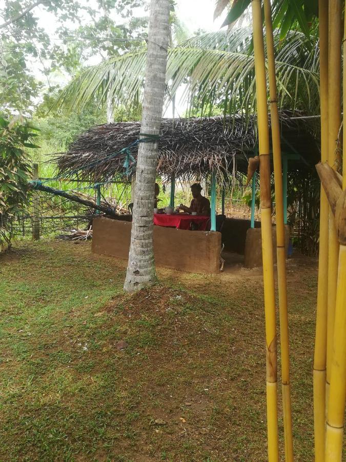 Bamboo Home Stay Hiriketiya Dikwella Extérieur photo